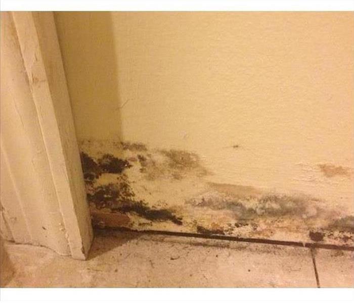mold damage in laundry room