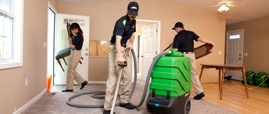 Minneapolis , MN cleaning services